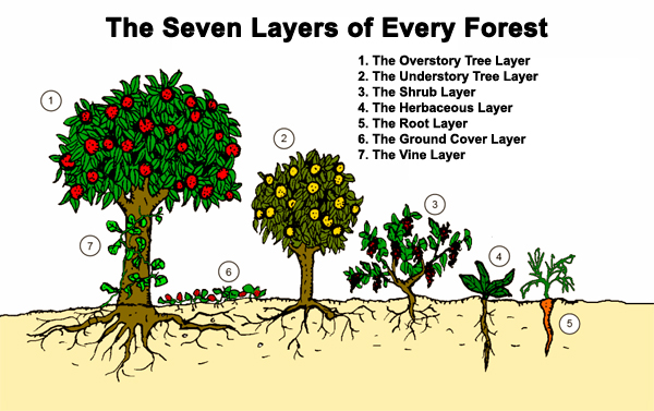 gardening in layers